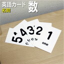 フラッシュカード【数字】■名刺 ラミネート加工■ 英語カード.com 送料無料 英単語 1歳 2歳 3歳 4歳 5歳 6歳 教材 学習 子供 子ども こども 小...