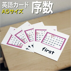 フラッシュカード【序数】■A5 ラミネート加工■ 英語カード.com 送料無料 英単語 1歳 2歳 3歳 4歳 5歳 6歳 教材 学習 子供 子ども こども 小学校 幼稚園 チャンツ式 幼児 小学生 単語カードえいご 絵本 1年 2年 3年 4年 5年 6年