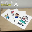 フラッシュカード【人】■B5 ラミネート加工■ 英語カード.com 送料無料 英単語 1歳 2歳 3歳 4歳 5歳 6歳 教材 学習 子供 子ども こども 小学...