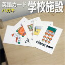 英語教材 バイリンガル arts and crafts room 図工室 ずこうしつ bathroom 便所 べんじょ トイレ classroom 教室 きょうしつ computer room コンピューター室 こんぴゅーたーしつ door ドア どあ gym 体育館 たいいくか んジム library 図書館 としょかん music room 音楽室 おんがくしつ nurse's office 保健室 ほけんしつ playground 校庭 こうていグラウンド school 学校 がっこう スクール science room 理科室 りかしつ she box 下駄箱 げたばこ swimming pool プール ぷーる スイミング teacher's room 職員室 しょくいんしつ water fountain 水飲み場 みずのみば window 窓 まどフラッシュカード えらべる英語カード【学校施設】ハガキサイズ ハガキサイズ 他にもたくさんの絵カードが選び放題!!!　&darr;　&darr;　&darr;　&darr;　&darr;　&darr;　&darr;　&darr; &nbsp; &nbsp; &nbsp; 　　 &nbsp; &nbsp; 　● 両面マット 　● 落ち着いた手触り 　● 単語ゲーム 　● 2セットあれば神経衰弱 　● 記憶用に 　● 0.33mm 　● 官製はがきより厚い 　● コシはシッカリ &nbsp; 商 品 仕 様 サイズ　：　ハガキ 枚数　　：　17枚 用紙　　：　マットコート 厚さ　　：　0.33mm