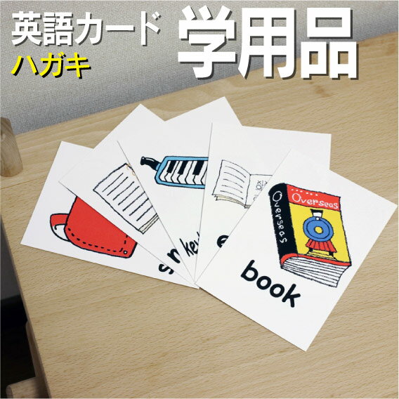 フラッシュカード【学用品】 ハガキ ラミネート加工 英語カード.com 送料無料 七田式 英単語 1歳 2歳 3歳 4歳 5歳 6歳 教材