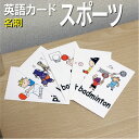フラッシュカード【スポーツ】■名刺 ラミネート加工■ 英語カード.com 送料無料 英単語 1歳 2歳 3歳 4歳 5歳 6歳 教材 学習 子供 子ども こども...