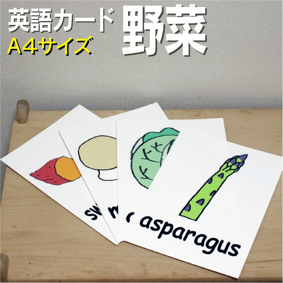 フラッシュカード【野菜】■A4サイズ■ 英語カード.com 送料無料 英単語 1歳 2歳 3歳 4歳 5歳 6歳 教材 学習 子供 子ども こども 小学校 ..