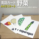 フラッシュカード【野菜】■A4 ラミネート加工■ 英語カード.com 送料無料 英単語 1歳 2歳 3歳 4歳 5歳 6歳 教材 学習 子供 子ども こども 小...