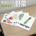 フラッシュカード【野菜】■A5 ラミネート加工■ 英語カード.com 送料無料 英単語 1歳 2歳 3歳 4歳 5歳 6歳 教材 学習 子供 子ども こども 小...