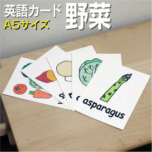 フラッシュカード【野菜】■A5サイズ■ 英語カード.com 送料無料 英単語 1歳 2歳 3歳 4歳 5歳 6歳 教材 学習 子供 子ども こども 小学校 幼稚園 中学校 チャンツ 星みつる式 幼児 小学生 単語カードえいご 絵本 1年 2年 3年 4年 5年 6年 食べ物