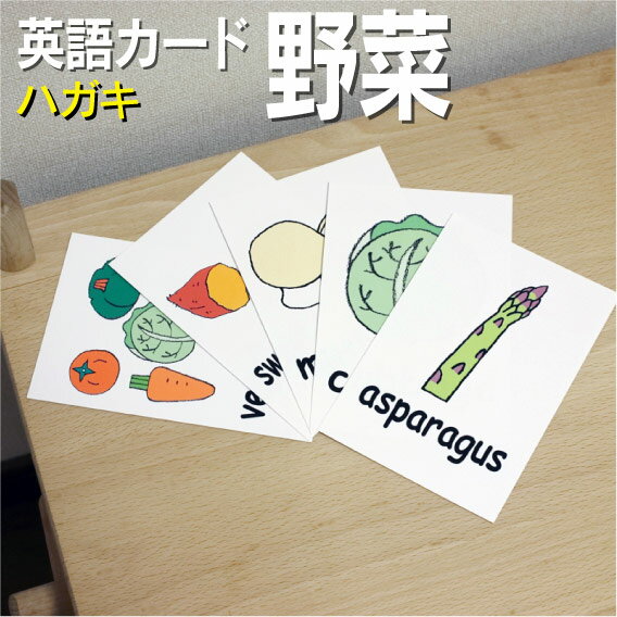 フラッシュカード【野菜】■ハガキサイズ■ 英語カード.com 送料無料 英単語 1歳 2歳 3歳 4歳 5歳 6歳 教材 学習 子供 子ども こども 小学校 幼稚園 中学校 チャンツ 星みつる式 幼児 小学生 単語カードえいご 絵本 1年 2年 3年 4年 5年 6年 食べ物