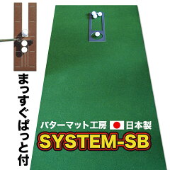 https://thumbnail.image.rakuten.co.jp/@0_mall/progolf/cabinet/newimg/systemsb90.jpg