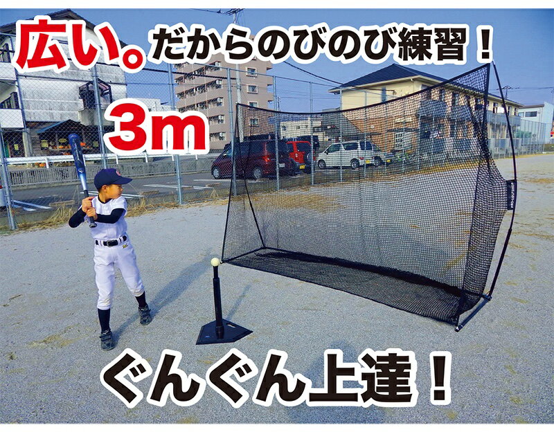 ��� ���� �ͥå� ����ѥ��ȥͥå�3m������+���ݡ��ȥͥå�Ʊ�� ���𼰡����եȥܡ����ѡۡڤ����ʥ��åȡۡڥХåƥ��� ���� �Ƿ� �ͥåȡۡڹ⥰�졼�ɡۡ����� �Ѷ� ���� ��� �ȥ졼�˥󥰡�