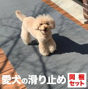 [3枚同梱セット] 愛犬のスリップを防ぎ、足関節を守りたい！ あなたのワンちゃんが足を滑らせていませんか？ 愛犬にとって、滑る床は関節を痛め、脱臼や骨折を招くとても危険な場所です。 また高齢犬は足元が滑る環境では立ち上がることも難しくなります。 元々犬は、地面に爪を立てて歩き、走る動物。 しかし人間と一緒に暮らすため、滑りやすい場所を歩かざるを得ません。 舗装やタイル、木の床、ウッドデッキや鋼板など。 また、屋内外のスロープにもスリップの危険が潜んでいます。 日常的に足を滑らせることを続けていると、膝のお皿の脱臼である「パテラ」をはじめ、骨や関節の異常によって歩行が困難になります。 股関節や椎間板も、障害を起こしやすい部位です。 もう一つ、現代に生きる犬たちの暮らしには「高齢化」の問題があります。 10歳を過ぎることから筋力が低下して運動量が減少します。 健康維持のためには散歩や移動で適度な運動が必要ですが、滑る床、滑る通路がそれを阻害しているのです。 「本当はまだ歩けるけど床が滑るから歩けない、立てない・・・」 そのようなワンちゃんを助け、健康な余生を送ってほしいのです。 スタッドレスマットは、人と犬が幸せに共生する「滑らない生活」を実現します。 「歩行滑り止めマット」として4つの優れた特長があります。 【1】グリップ波線 マットはしっかりしたメッシュ構造で細かい凸凹となっており、波状の突起が肉球や爪としっかりグリップし合って滑りを強力に防止します。 【2】歩行のための超厚 ホームセンターでよく売っている滑り止めマットの厚さは1.5mm〜3mm程度。 スタッドレスマットは6mmの超厚仕様なので、強く踏みつけてもズレたりシワになることはありません。 【3】重量級で安定 90cm幅1mあたり2.8kg。ロングサイズの6mの場合は16.8kg。 薄いマットやスポンジ状のマットとは全く異なる安定感です。 【4】全面水抜け形状 マット全体がメッシュ状で水が抜けていく構造。 屋外では雨天後の復旧が早く、人間にとっても靴の滑りの原因である「水の層」が発生しにくく、飼い主様のスリップも予防します。 【素材はPVC】PVCは水道のホースや電線の被覆にも使われる素材で、紫外線、水、乾燥に強く、屋内外を問わず使うことができる優れた素材です。 【サイズバリエーション】 | 90cm×80cm | | 90cm×1m | 90cm×2m | | 90cm×3m | 90cm×4m | | 90cm×5m | 90cm×6m | | 90cm×10m | ※ マット寸法より長い場所は、数枚を並べて敷くことで問題なくお使いいただけます。 【このページの商品】 スタッドレスマット 90cm×80cm [3枚同梱セット] ●厚さ：6mm　●重量：（1枚あたり）約2.2kg　●材質：PVC　●色：グレー 【販売元】株式会社ニュートンズ [PRO-GOLFSHOPブランド運営会社] 【同梱セットのご案内】 通常は1箱に1枚入りですが、同梱セットは送料を節約できます。 （同梱セットがあるのは長さ2m以下の製品だけです） | 1枚入 | 2枚入 | 3枚入 | 4枚入 |[3枚同梱セット] 【よくあるご質問】 ● カット仕上げについて マットの横縁は構造線の枠付き。前後の終端はカットオフ（切断）になります。カット部分がほつれることはありません。 長さや横幅に関して、特別なオーダー寸法のカットは行っておりません。お客様側で容易にカッターで切断することができます。 ● メンテナンスについて 清掃時は、ホースの水で洗い流すことができます。高圧洗浄機を使うとさらに簡単にきれいになります。速やかに水が抜けますのでそのまま自然乾燥してください。 お風呂など常時水気のある環境では、適宜水洗い&#12316;乾燥させることで水垢の付着を予防できます。 小さいサイズはバスタブや物干しにかけて水を切り、大きいサイズは巻き上げて立てることで水切りが早くなります。 洗剤を使う場合は中性洗剤を、ブラシは柔らかいものをお使いください。 ● 裸足での使用について 製品は強度と弾力を兼ね備えていますので、裸足でも靴でも使うことができます。足裏にチクチク感はありません。 ● 匂いについて ゴムマットのような刺激臭はありません。至近距離ではビーチボールやソフビ人形、ビニールバッグ（いずれもPVC）のようなかすかな香りですが、使用とともに消えていきます。 【注意】ウッドデッキなど乾燥した木の床では1~2mの軽量サイズにおいてマットが床からずれやすい場合があります。その場合は市販のカーペット滑り止めシートや両面テープを併用してください。 【お勧めの用途】 屋外・水回りを中心に、足が滑りやすい場所（犬＆人間 どちらのスリップも予防） 玄関、出入り口、通路、タイル、ウッドデッキ、舗装、木の床、鋼板、水回り 【サイズバリエーション】 | 90cm×80cm | | 90cm×1m | 90cm×2m | | 90cm×3m | 90cm×4m | | 90cm×5m | 90cm×6m | | 90cm×10m | ※ マット寸法より長い場所は、数枚を並べて敷くことで問題なくお使いいただけます。 ※ 当ページの製品写真には別サイズの画像も含まれています。ご注文時は商品名でサイズをご確認ください。 【このページの商品】 愛犬 歩行 滑り止めスタッドレスマット 90cm×80cm[3枚同梱セット] ●厚さ：6mm　●重量：（1枚あたり）約2.2kg　●材質：PVC　●色：グレー 【販売元】株式会社ニュートンズ [PRO-GOLFSHOPブランド運営会社] 【同梱セットのご案内】 通常は1箱に1枚入りですが、同梱セットは送料を節約できます。 （同梱セットがあるのは長さ2m以下の製品だけです） | 1枚入 | 2枚入 | 3枚入 | 4枚入 |