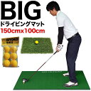 BIGドライビングマット150cm×100cm ryg