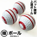 パット上達練習ボール・順ボール 3個セット 順回転 【パター練習ボール パッティング練習ボール パターマット工房 PROゴルフショップ】ryg