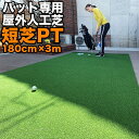 【屋外】180cm×3m パット専用人工芝 ［短芝PT］【順目やや高速&逆目標準スピード】 ［トレーニングリング付き］【高品質ゴルフ専用人工芝】