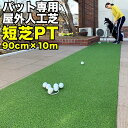 【屋外】90cm×10m パット専用人工芝 ［短芝PT］【順目やや高速&逆目標準スピード】 ［トレーニングリング付き］【高品質ゴルフ専用人工芝】