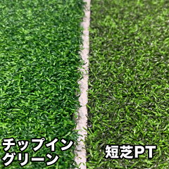 https://thumbnail.image.rakuten.co.jp/@0_mall/progolf/cabinet/parts03/turf_sample_cpg_pt.jpg