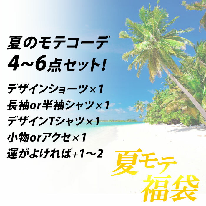 夏のモテコーデ 福袋 4〜6点入り《 夏 メンズ セット メンズ福袋 ハーフパンツ ショートパンツ デニムショーツ ショーツ デニムパンツ ジーンズ カジュアルシャツ 半袖シャツ 長袖シャツ ビッグTシャツ BIG Tシャツ ブランドTシャツ 10代 20代 30代 40代 プレゼント 夏用