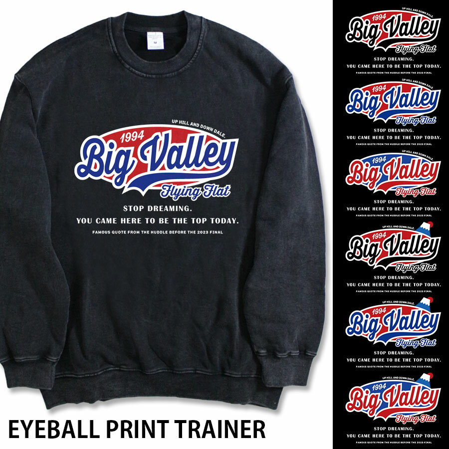 樂天商城 - 【処分!早い者勝ち】【送料無料】ヘビーウェイト ピグメント カレッジ トレーナー メンズ ビッグシルエット ビックシルエット オーバーサイズ ピグメントトレーナー ヴィンテージ スウェット 長袖 ベースボール バスケットボール 無地 ブラック