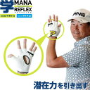 マナリフレックス MANA REFLEX 総合格闘家 平直行考案 PGA プロ 中井学 監修 ゴルフ スイング 練習器 MR-1903 1