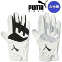 PUMA プーマ ゴルフ 右手用 ゴルフグローブ フュージョン グリップ グローブ メンズ GOLF 867913 正規品 その1