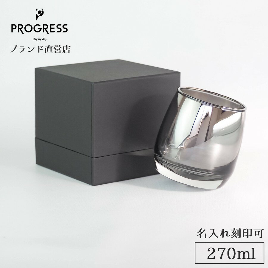 ڥ֥ľġ PROGRESS Spin-Silver 󥷥󥰥饹 270ml ե ݾڽ ̵ ̾  ...