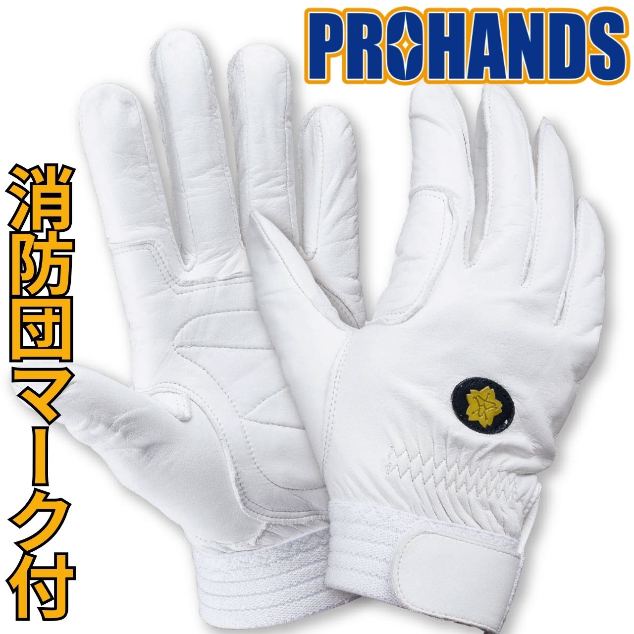 CWD-024
