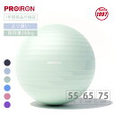 【全品P5倍★4/24 20時～】PROIRON バランスボール 55cm レッド ハンドポンプ付き