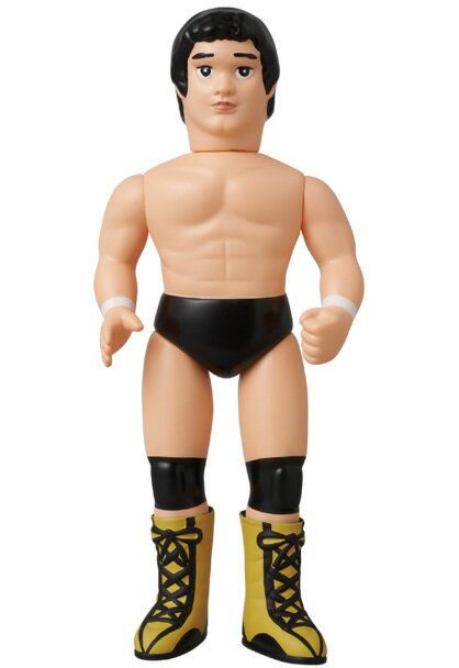 天龍源一郎【2014年4月下旬発送予定】のサムネイル