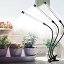 クリップ式LED植物育成ライト 屋内植物成長ランプ、75W 126LED植物ランプ、観葉植物、小さな植物に最適..