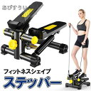 ステッパー 効果 静音 チューブ 筋トレ 有酸素運動 筋肉トレーニング ダイエット 自宅 フィットネス 健康器具 有酸素 トレーニング 体幹 耐荷重100kg