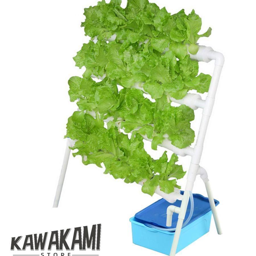 水耕栽培キット すいこう栽培キット 野菜 栽培キット 室内 いちご 家庭菜園 水耕栽培セット プランター 36穴