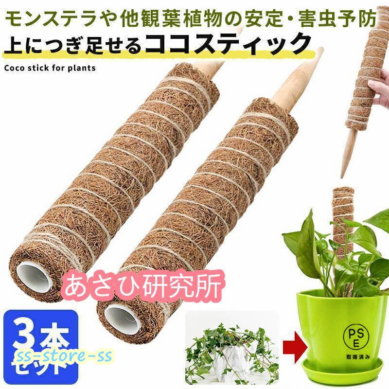 ココスティック 3本セット モンステラ 支柱 観葉植物 おしゃれ プランター 植木鉢 植物 園芸支柱 観葉..