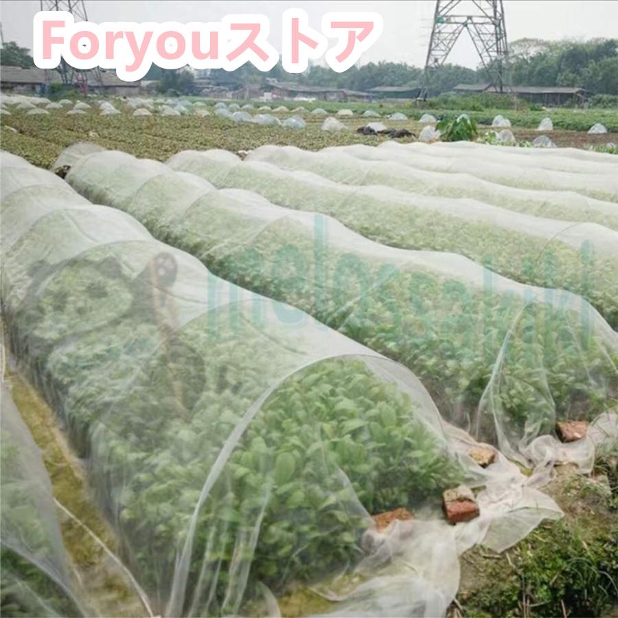 防虫ネット 園芸 防鳥ネット 防虫メッシュ 野菜栽培 菜園 プランター 花壇適用 透明 植物保護 虫鳥除け..