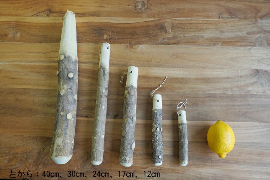 ��25�����ꥯ���ݥ��оݡۤ��󤷤礦 ���ꤳ���� �� 30cm / ���ꤳ�� ��ܥ ŷ���� �� ������ ����ȭ