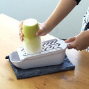 貝印 SELECT100 おろし器 / Kai / 調理器具 食洗器対応 便利 簡単 おろし器 大根おろし すりおろし 新生活