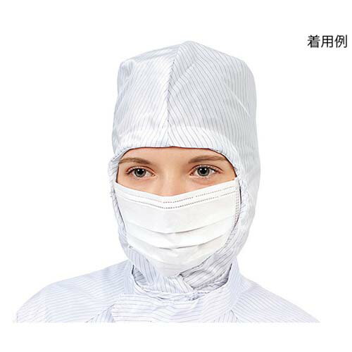 クリーンルームマスク (クラス10) 50枚入 CC-641-3