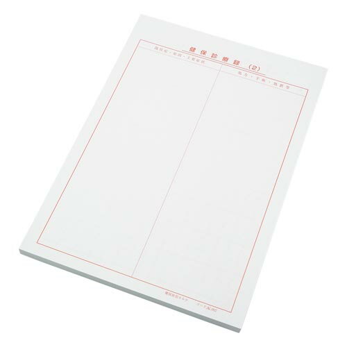 健保カルテ B5サイズ 1袋 (100枚入) 2号紙 302