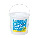 クールリフレ70枚 本体 42411