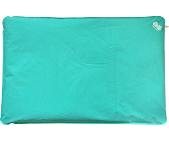 イーコレ・ベーシック PL2 ポンプ付 緑