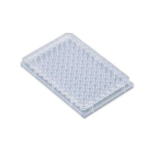 �ӥ����96������ץ졼�� 370�ޥ�����L ʿ���Ƕ�