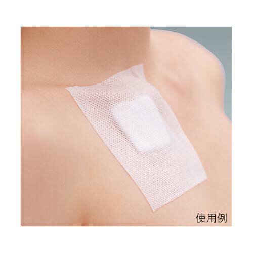 シルキーポア ホワイト 1.25cm*10m 1号 11921 1パック(24巻入)