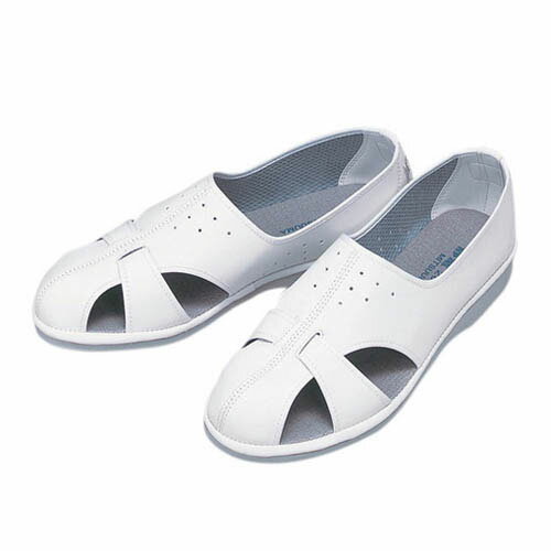 静電シューズ エレクリヤー(R) 白 XL P-01N