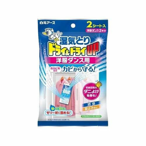 �ɥ饤���ɥ饤UP ���������� 2��