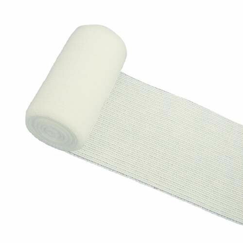 �ͥåץ�CP No.6 1������ (20����Ȣ*15Ȣ��) 021216