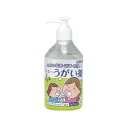 ケンエーうがい薬 ミント味