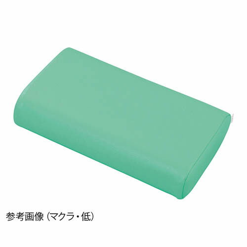 ���ɤޤ�ޥ��� (��) �饤�ȥ��꡼�� TPL-PG