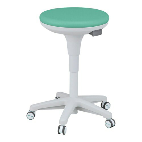 �����ƥ��ʥ֥륻�쥯�ȥ����� (���㥹��������) ���꡼�� NVHC-GRN