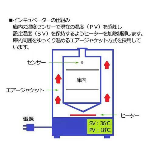 ���󥭥�١����� (�����ޡ����������㥱�åȼ�����ή��) 27L EI-300V