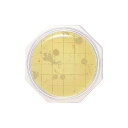 クリーンスタンプ25 SCD寒天 (一般生菌数測定用) 30枚 06791 1箱(3枚*10袋入)
