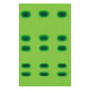 TLCラックスプレート (R) 25*75mm 1箱 (100枚入) 1.05801.0001