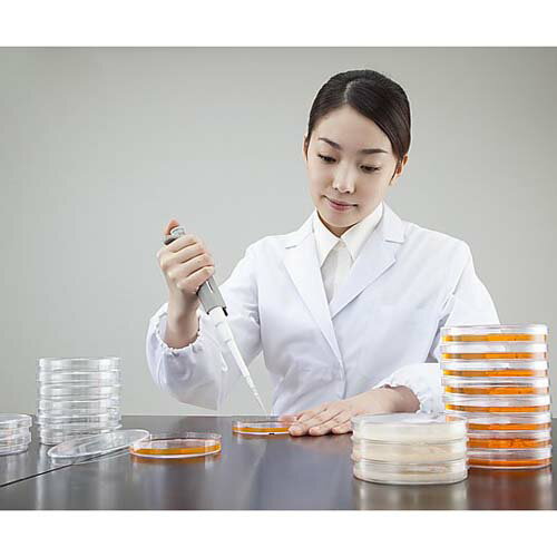 �����Ρ����Ƕݥ��㡼�� ľ��90*15mm 10��*50��*10Ȣ GD90-15(��������)(��������/�ǥ��å���/��������)